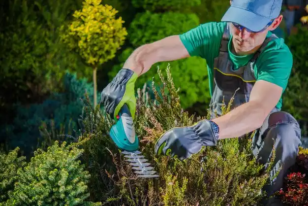 landscaping services Limestone